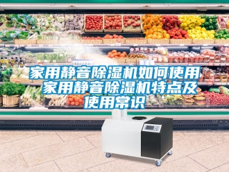 常見問題家用靜音除濕機(jī)如何使用 家用靜音除濕機(jī)特點(diǎn)及使用常識