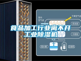 知識(shí)百科食品加工行業(yè)離不開工業(yè)除濕機(jī)