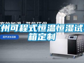 知識百科廣州可程式恒溫恒濕試驗(yàn)箱定制