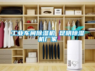 企業(yè)新聞工業(yè)車間除濕機(jī) 昆明除濕機(jī)廠家