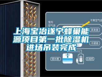 行業(yè)新聞上海寶冶遂寧蜂巢能源項目第一批除濕機進(jìn)場吊裝完成