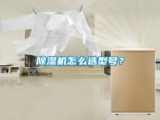 行業(yè)新聞除濕機怎么選型號？