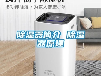 行業(yè)新聞除濕器簡介 除濕器原理