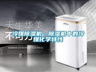 行業(yè)新聞冷媒除濕機(jī)—除濕機(jī)中的冷媒化學(xué)特性