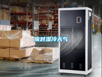 知識百科應對濕冷天氣