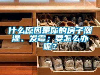 常見問題什么原因是你的房子潮濕、發(fā)霉；要怎么辦呢？