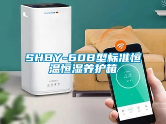 常見(jiàn)問(wèn)題SHBY-60B型標(biāo)準(zhǔn)恒溫恒濕養(yǎng)護(hù)箱