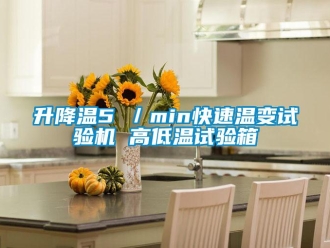 常見問題升降溫5℃／min快速溫變試驗機 高低溫試驗箱