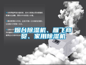 常見問題煙臺除濕機(jī)、雁飛商貿(mào)、家用除濕機(jī)