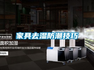 常見問題家具去濕防潮技巧