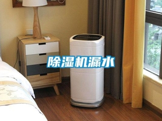 常見問題除濕機漏水