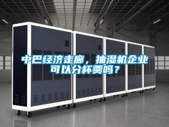 常見問題中巴經(jīng)濟走廊，抽濕機企業(yè)可以分杯羹嗎？