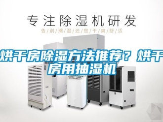 行業(yè)新聞烘干房除濕方法推薦？烘干房用抽濕機(jī)