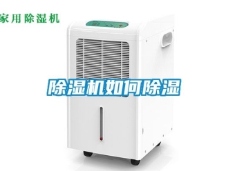 行業(yè)新聞除濕機如何除濕