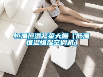 知識(shí)百科恒溫恒濕蔬菜大棚（低溫恒溫恒濕空調(diào)機(jī)）