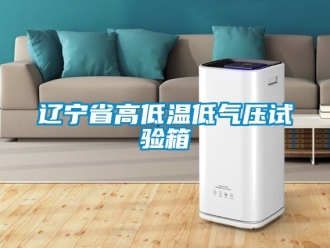常見問題遼寧省高低溫低氣壓試驗(yàn)箱