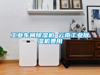 常見問題工業(yè)車間除濕機 云南工業(yè)除濕機費用