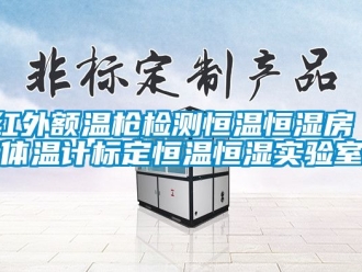 知識(shí)百科紅外額溫槍檢測(cè)恒溫恒濕房 體溫計(jì)標(biāo)定恒溫恒濕實(shí)驗(yàn)室