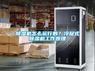 常見問題除濕機(jī)怎么運(yùn)行的？冷凝式除濕機(jī)工作原理