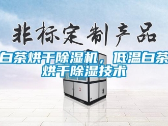 常見問題白茶烘干除濕機，低溫白茶烘干除濕技術