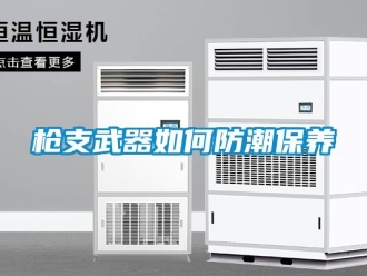 常見(jiàn)問(wèn)題槍支武器如何防潮保養(yǎng)