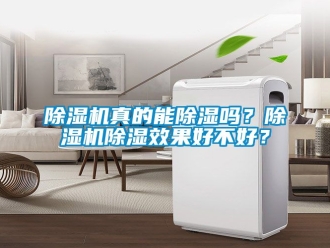 行業(yè)新聞除濕機真的能除濕嗎？除濕機除濕效果好不好？