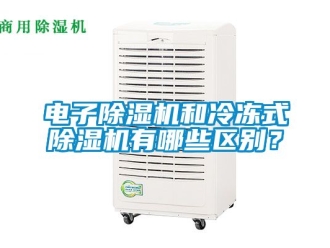 行業(yè)新聞電子除濕機(jī)和冷凍式除濕機(jī)有哪些區(qū)別？
