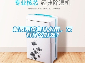 企業(yè)新聞新風(fēng)系統(tǒng)有什么用，又有什么好處？
