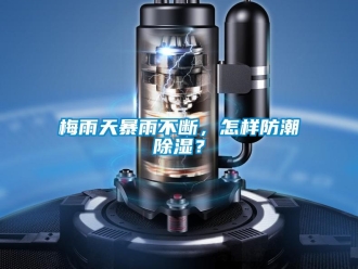 常見(jiàn)問(wèn)題梅雨天暴雨不斷，怎樣防潮除濕？