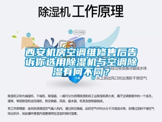 行業(yè)新聞西安機房空調(diào)維修售后告訴你選用除濕機與空調(diào)除濕有何不同？