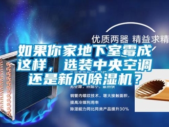 行業(yè)新聞如果你家地下室霉成這樣，選裝中央空調(diào)還是新風(fēng)除濕機(jī)？