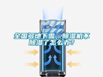 行業(yè)新聞全國多地下雪，除濕機不除濕了怎么辦？