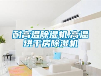 行業(yè)新聞耐高溫除濕機,高溫烘干房除濕機