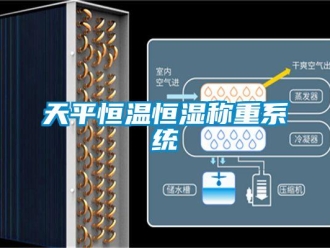 知識(shí)百科天平恒溫恒濕稱(chēng)重系統(tǒng)