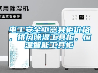 知識百科電工安全工器具柜價格，排風(fēng)除濕工具柜，恒溫智能工具柜