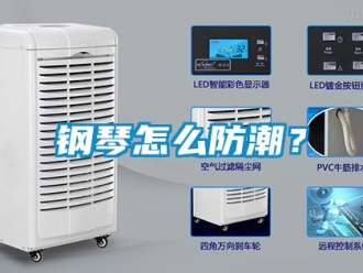 常見問題鋼琴怎么防潮？