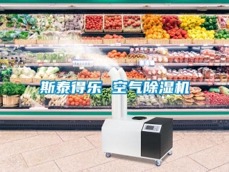 知識(shí)百科斯泰得樂(lè) 空氣除濕機(jī)