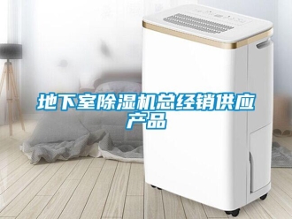 行業(yè)新聞地下室除濕機總經(jīng)銷供應(yīng)產(chǎn)品