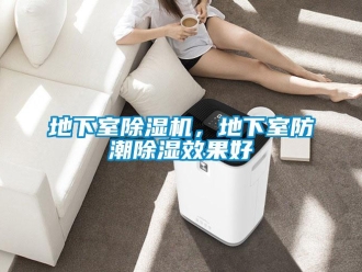行業(yè)新聞地下室除濕機，地下室防潮除濕效果好