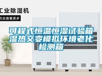 知識(shí)百科可程式恒溫恒濕試驗(yàn)箱濕熱交變模擬環(huán)境老化檢測箱