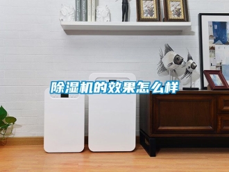 企業(yè)新聞除濕機(jī)的效果怎么樣