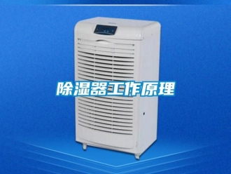 行業(yè)新聞除濕器工作原理