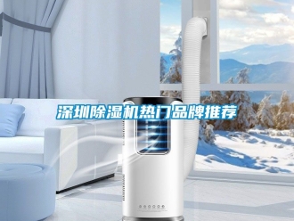 企業(yè)新聞深圳除濕機熱門品牌推薦
