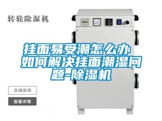 行業(yè)新聞掛面易受潮怎么辦 如何解決掛面潮濕問題-除濕機(jī)
