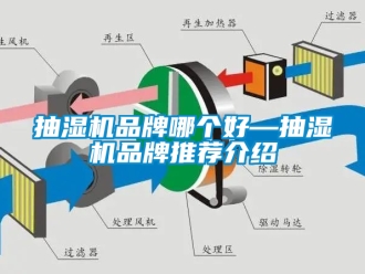 企業(yè)新聞抽濕機(jī)品牌哪個(gè)好—抽濕機(jī)品牌推薦介紹