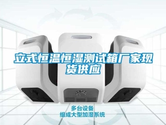 知識百科立式恒溫恒濕測試箱廠家現(xiàn)貨供應(yīng)