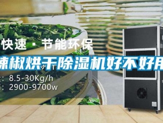 行業(yè)新聞辣椒烘干除濕機好不好用