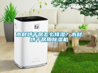 常見問題木材烘干房怎么排濕？木材烘干房用除濕機(jī)