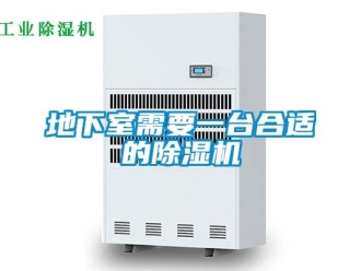 企業(yè)新聞地下室需要一臺合適的除濕機