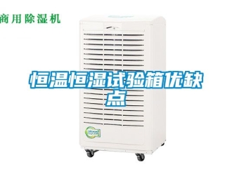 知識百科恒溫恒濕試驗箱優(yōu)缺點(diǎn)